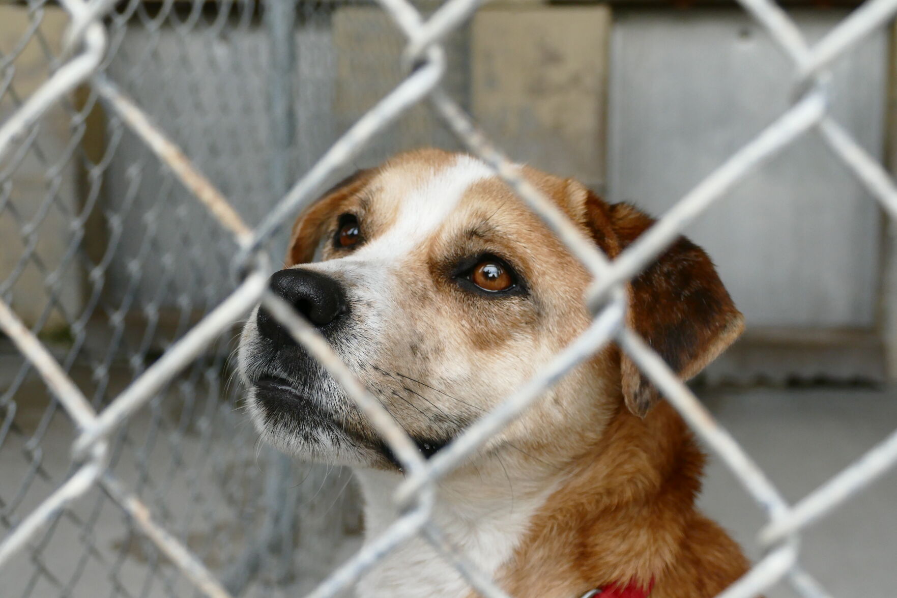 Shelter6.JPG
